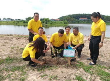 โครงการปลูกป่า ... พารามิเตอร์รูปภาพ 4